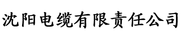 秋霞电影院入口电缆厂logo